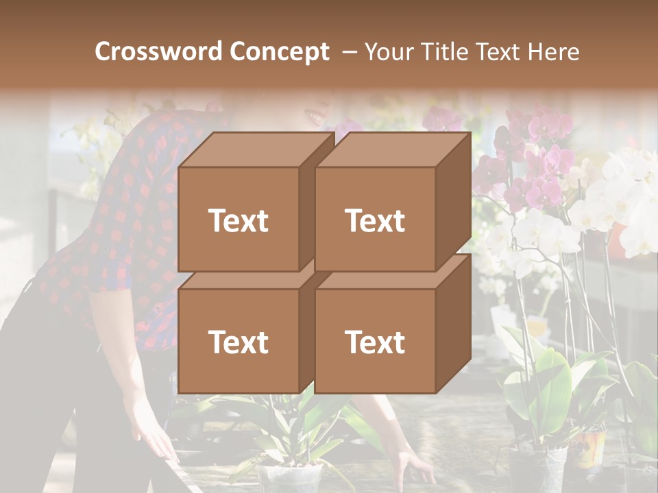 Houseplant Female Orchid PowerPoint Template