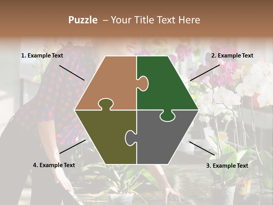 Houseplant Female Orchid PowerPoint Template