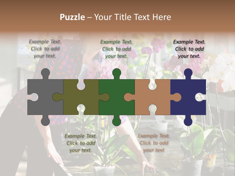 Houseplant Female Orchid PowerPoint Template