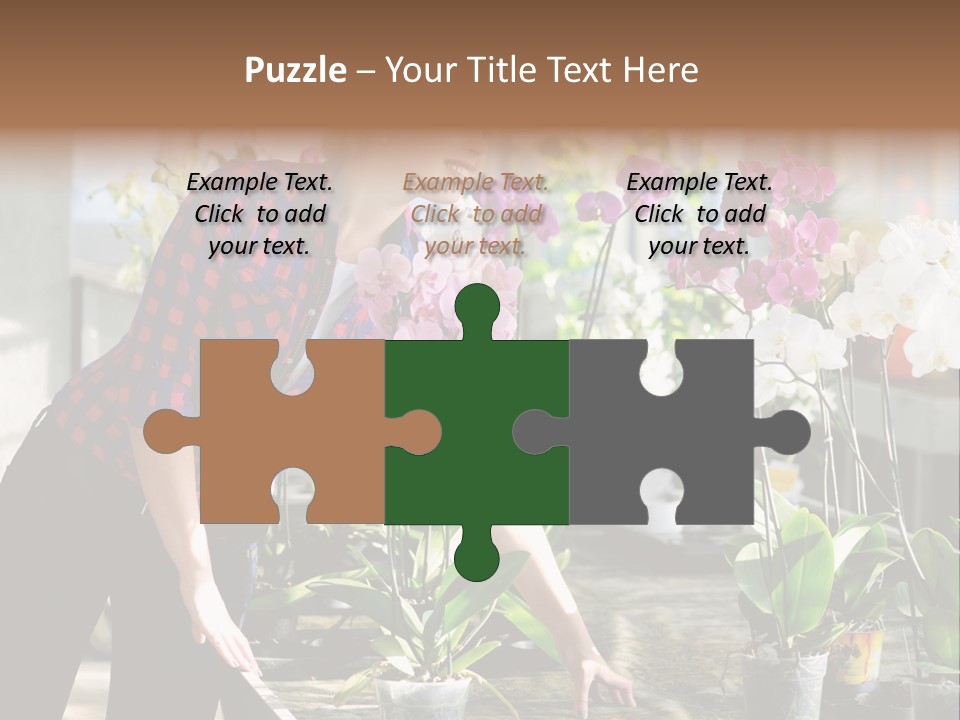 Houseplant Female Orchid PowerPoint Template