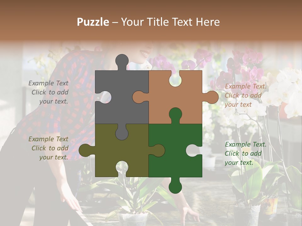Houseplant Female Orchid PowerPoint Template
