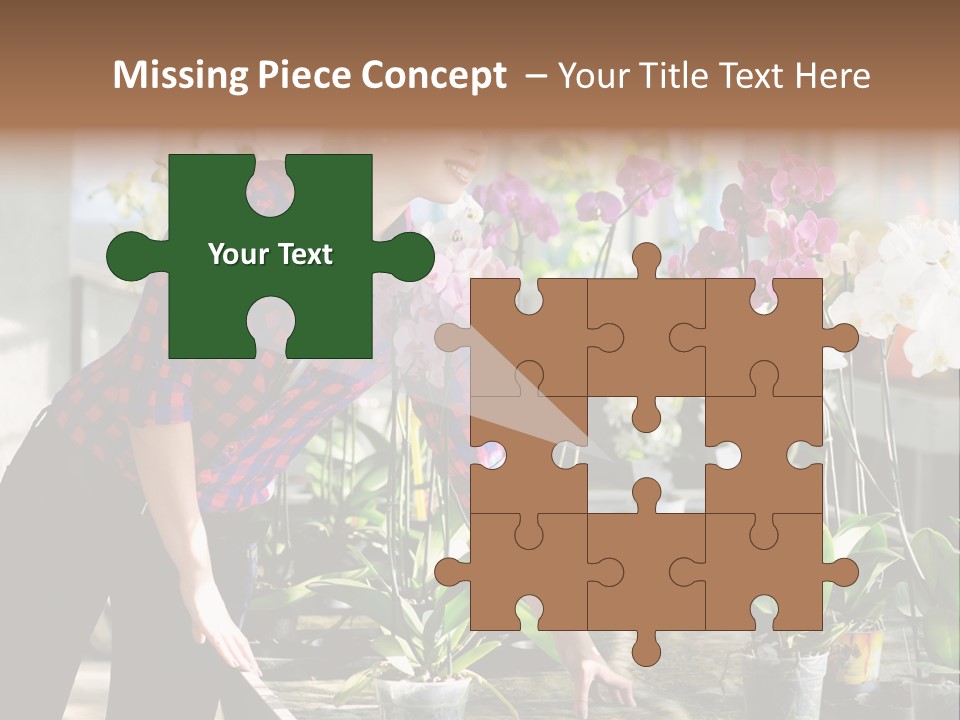 Houseplant Female Orchid PowerPoint Template