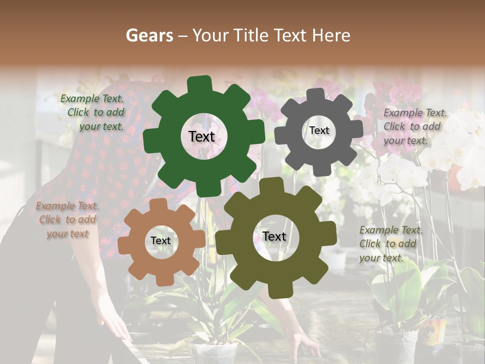 Houseplant Female Orchid PowerPoint Template