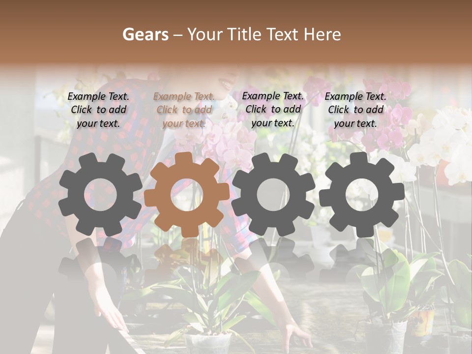 Houseplant Female Orchid PowerPoint Template