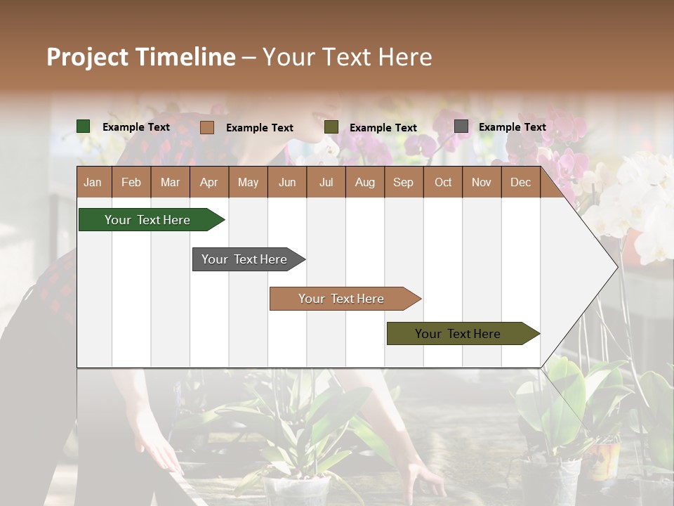 Houseplant Female Orchid PowerPoint Template