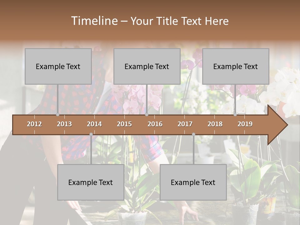 Houseplant Female Orchid PowerPoint Template