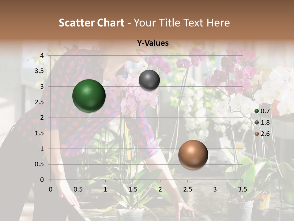 Houseplant Female Orchid PowerPoint Template