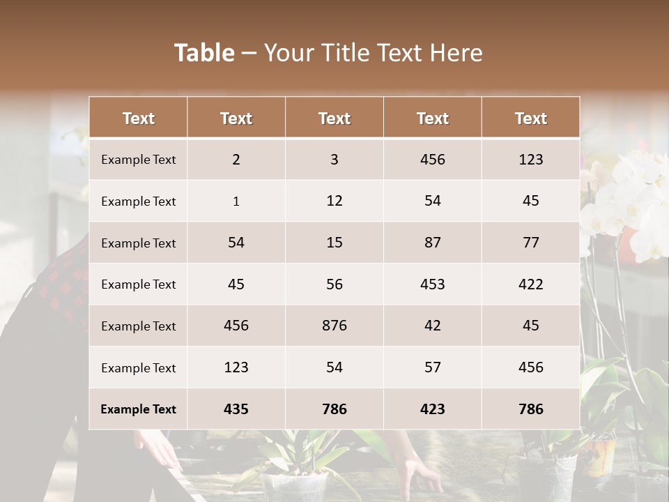 Houseplant Female Orchid PowerPoint Template