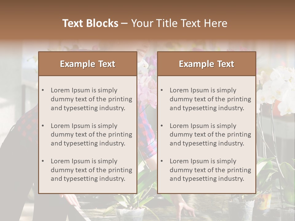 Houseplant Female Orchid PowerPoint Template