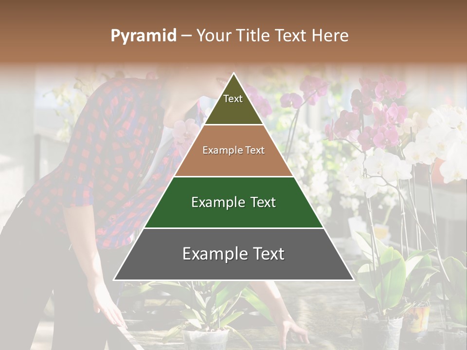 Houseplant Female Orchid PowerPoint Template