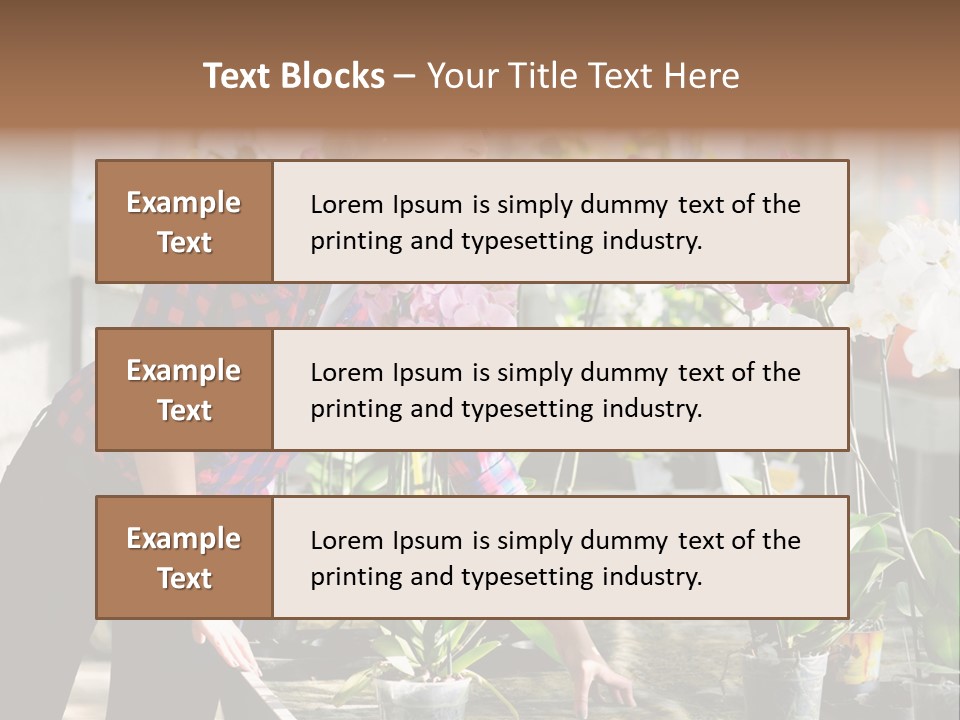 Houseplant Female Orchid PowerPoint Template