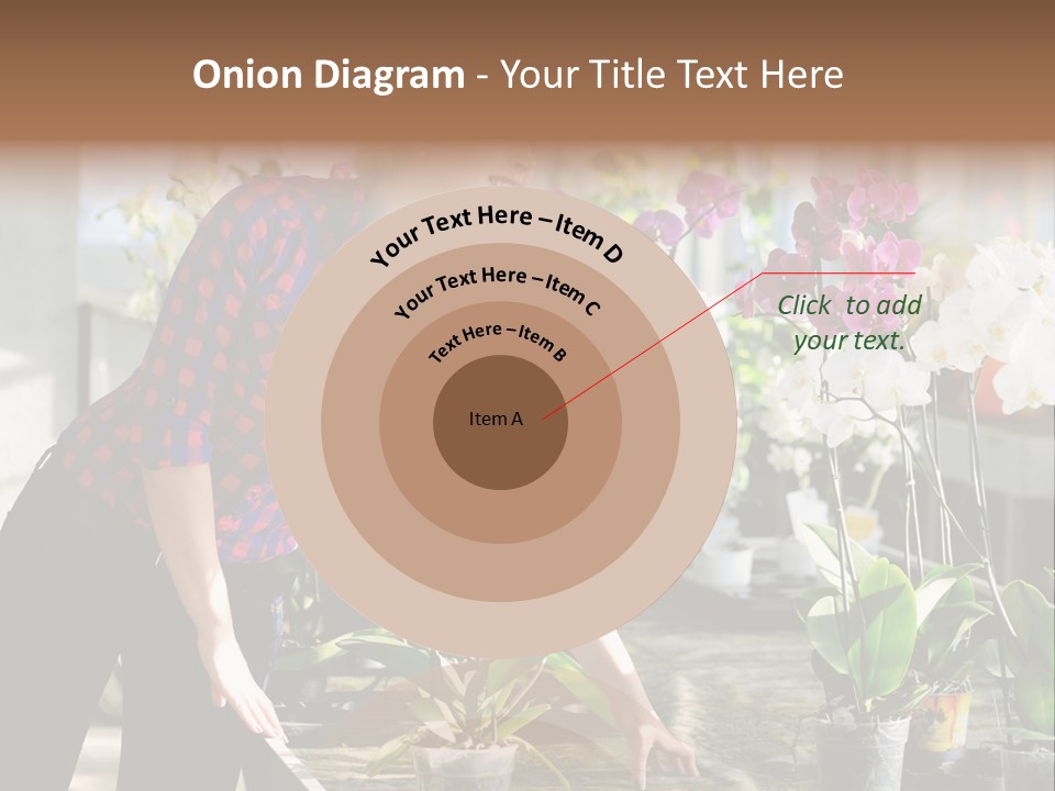 Houseplant Female Orchid PowerPoint Template