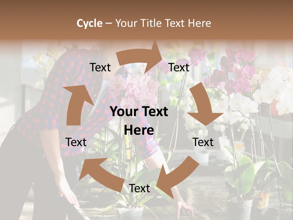 Houseplant Female Orchid PowerPoint Template