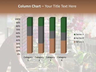 Houseplant Female Orchid PowerPoint Template