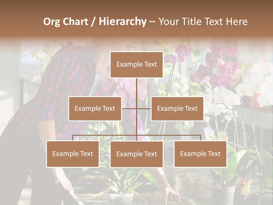 Houseplant Female Orchid PowerPoint Template