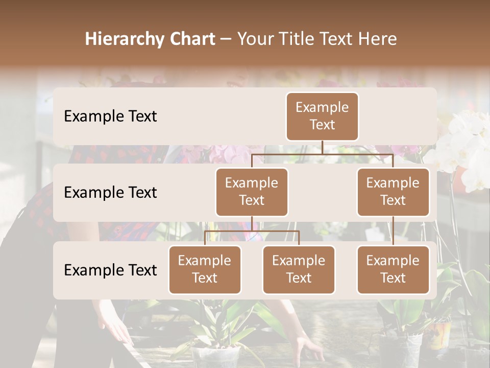 Houseplant Female Orchid PowerPoint Template