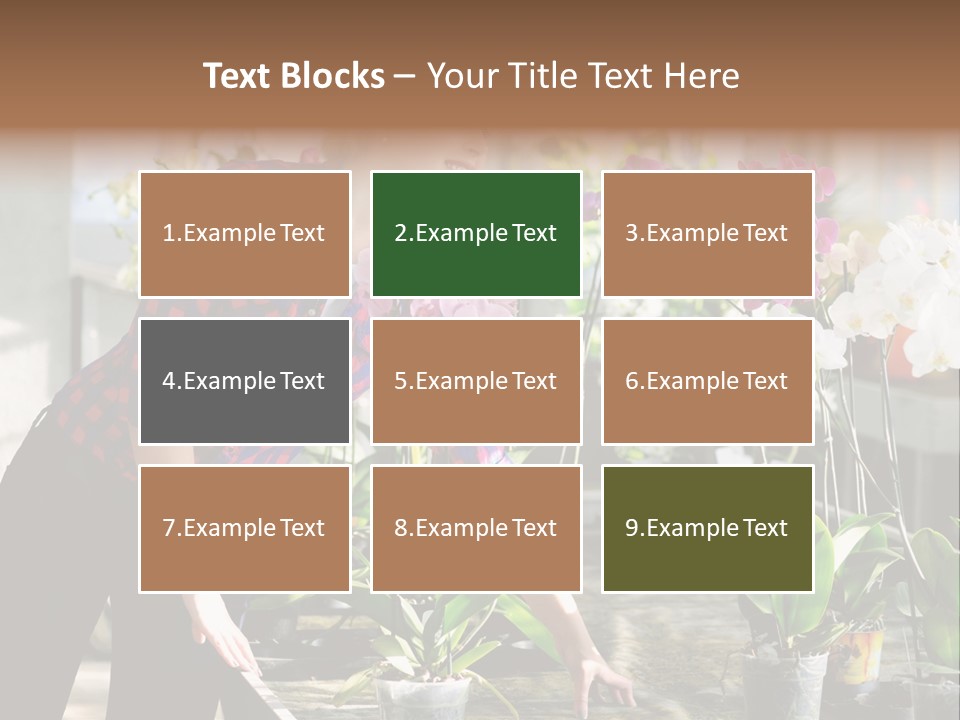 Houseplant Female Orchid PowerPoint Template