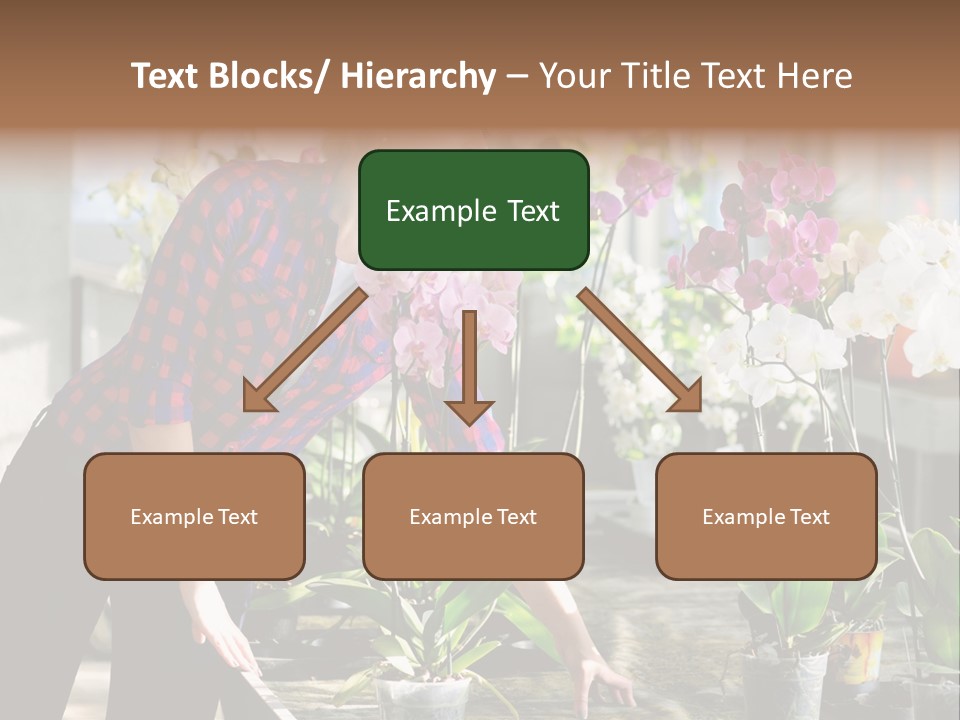 Houseplant Female Orchid PowerPoint Template