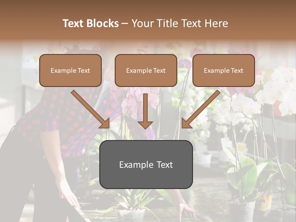 Houseplant Female Orchid PowerPoint Template