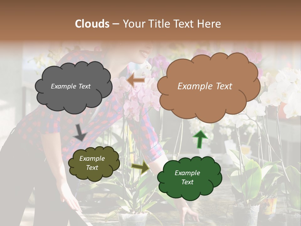 Houseplant Female Orchid PowerPoint Template