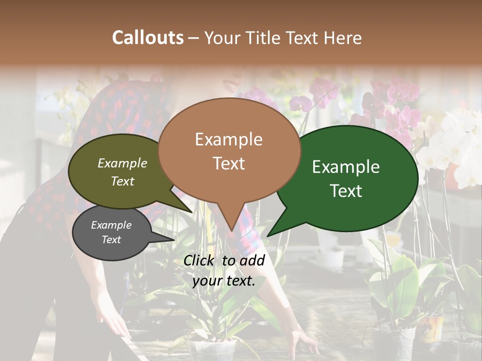 Houseplant Female Orchid PowerPoint Template