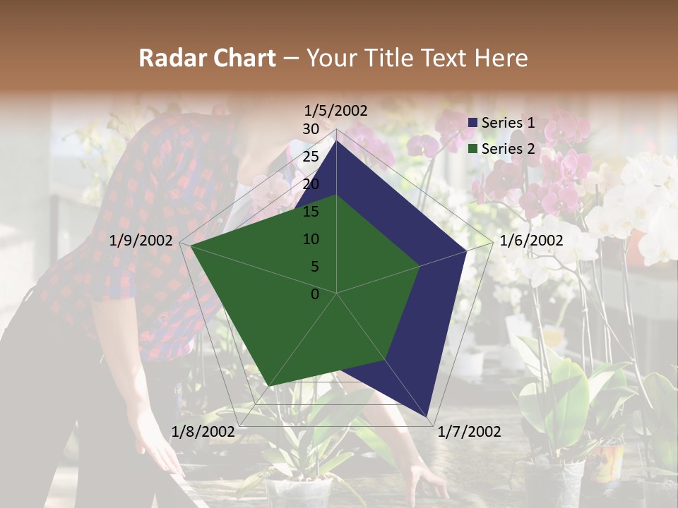 Houseplant Female Orchid PowerPoint Template