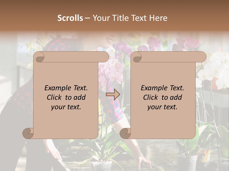 Houseplant Female Orchid PowerPoint Template