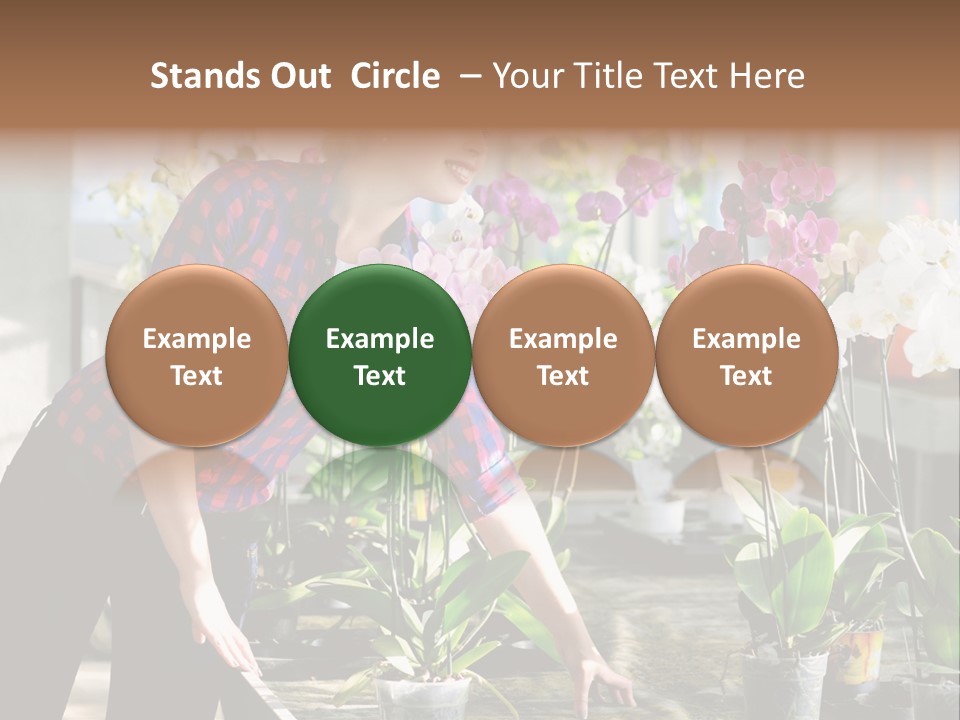 Houseplant Female Orchid PowerPoint Template