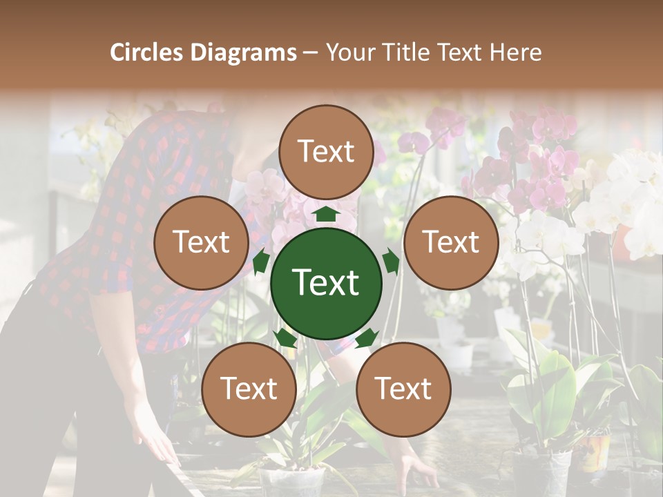 Houseplant Female Orchid PowerPoint Template