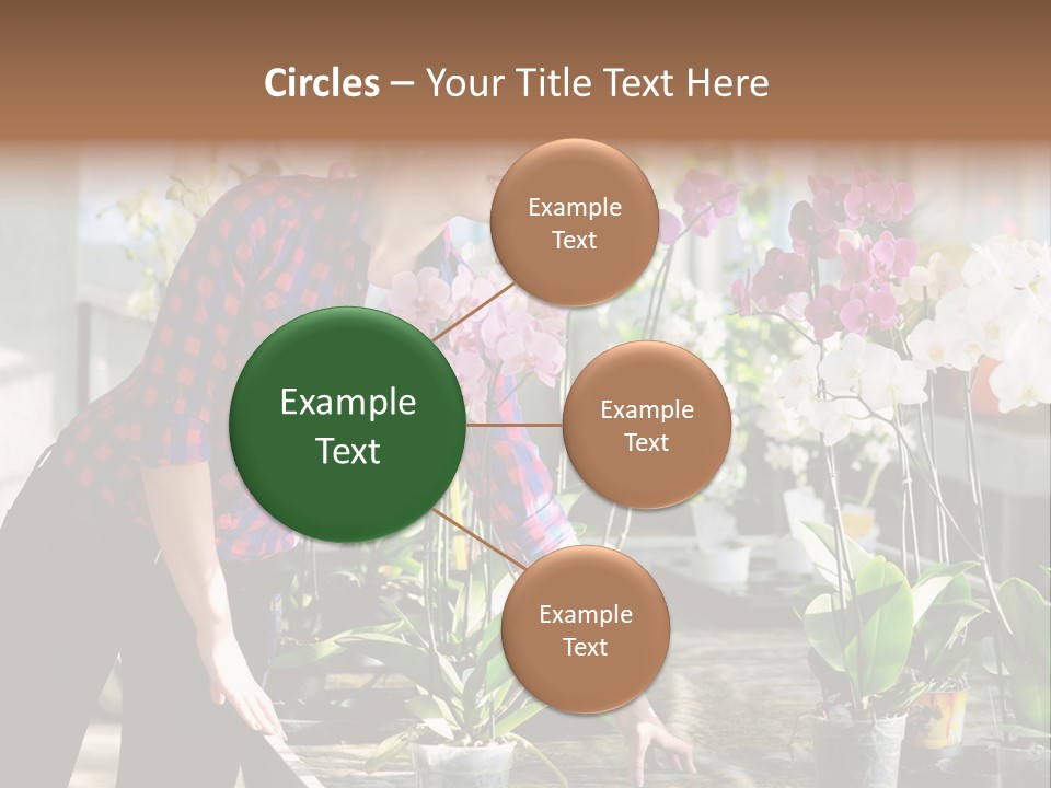 Houseplant Female Orchid PowerPoint Template