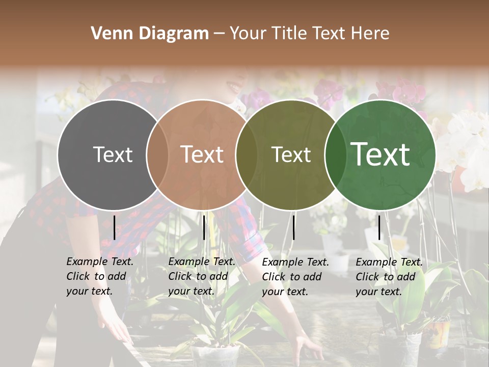 Houseplant Female Orchid PowerPoint Template