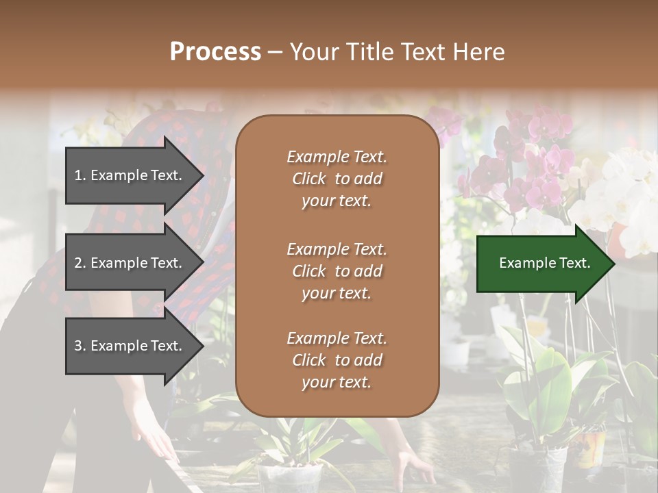 Houseplant Female Orchid PowerPoint Template