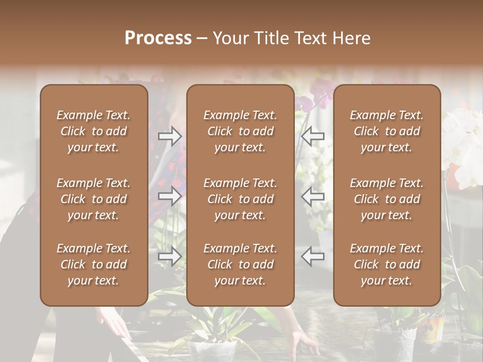 Houseplant Female Orchid PowerPoint Template