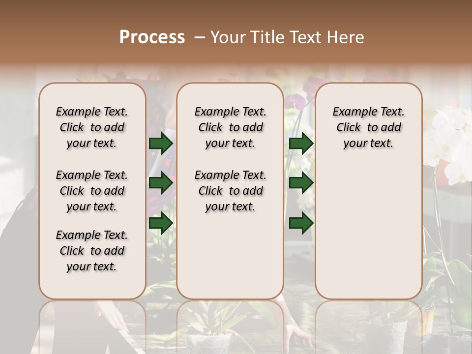 Houseplant Female Orchid PowerPoint Template