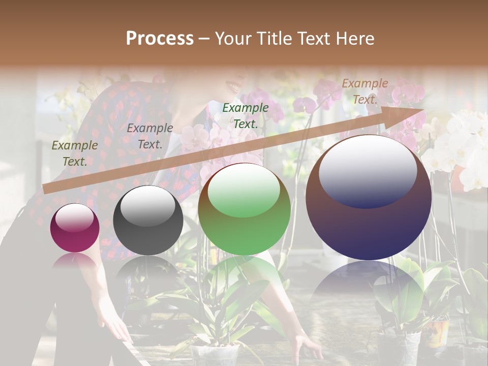 Houseplant Female Orchid PowerPoint Template