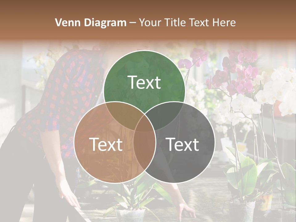 Houseplant Female Orchid PowerPoint Template