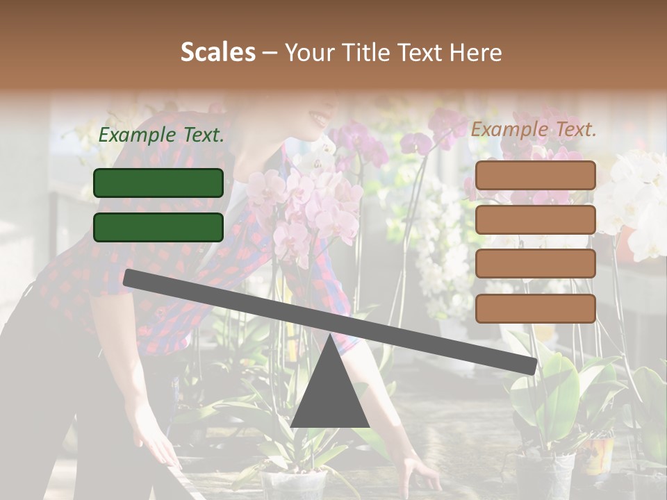 Houseplant Female Orchid PowerPoint Template