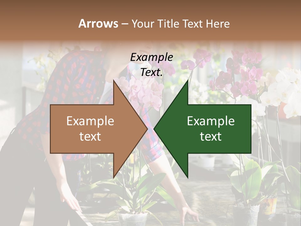 Houseplant Female Orchid PowerPoint Template