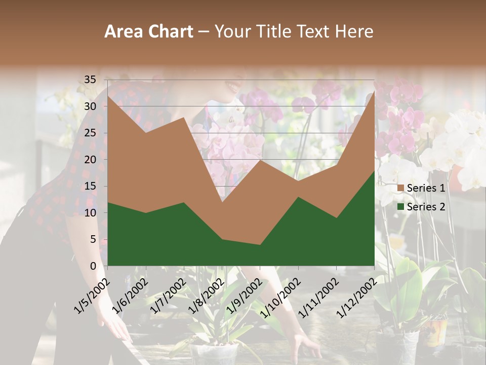 Houseplant Female Orchid PowerPoint Template