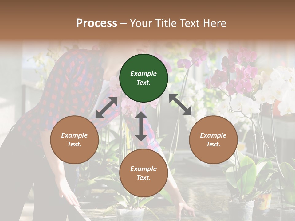 Houseplant Female Orchid PowerPoint Template