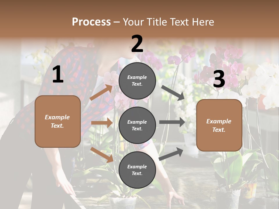Houseplant Female Orchid PowerPoint Template