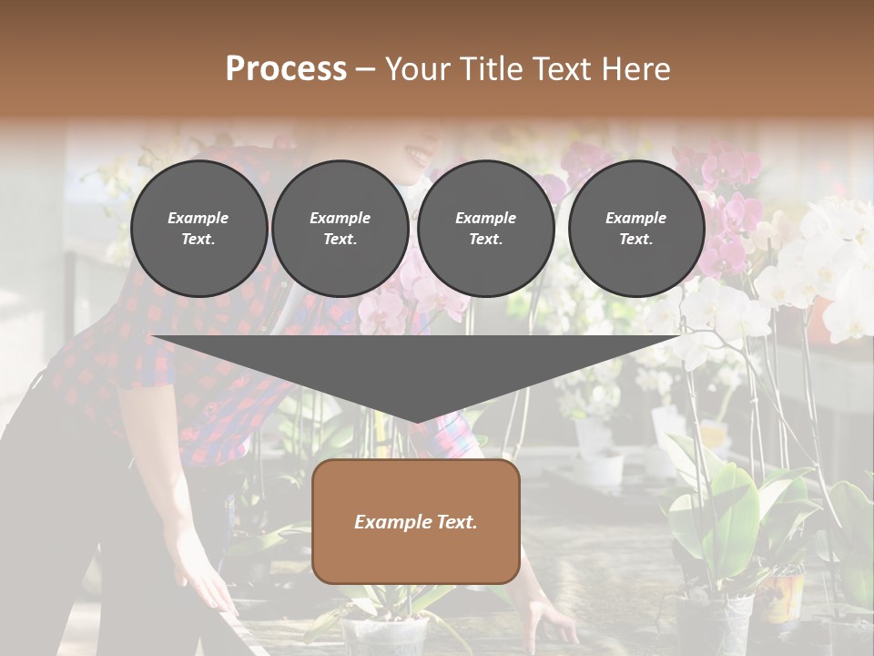 Houseplant Female Orchid PowerPoint Template