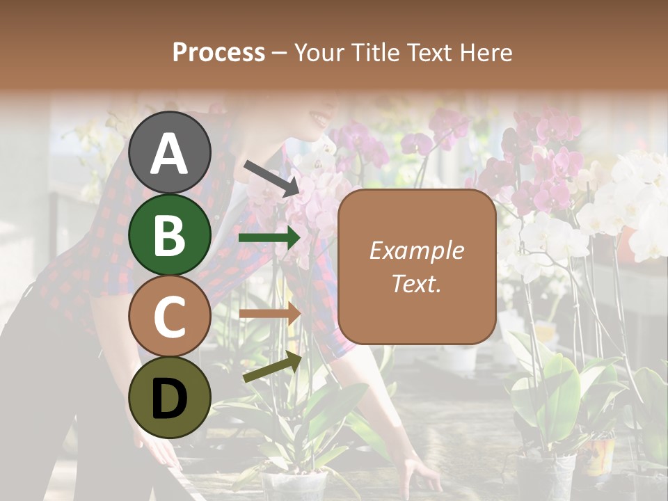 Houseplant Female Orchid PowerPoint Template