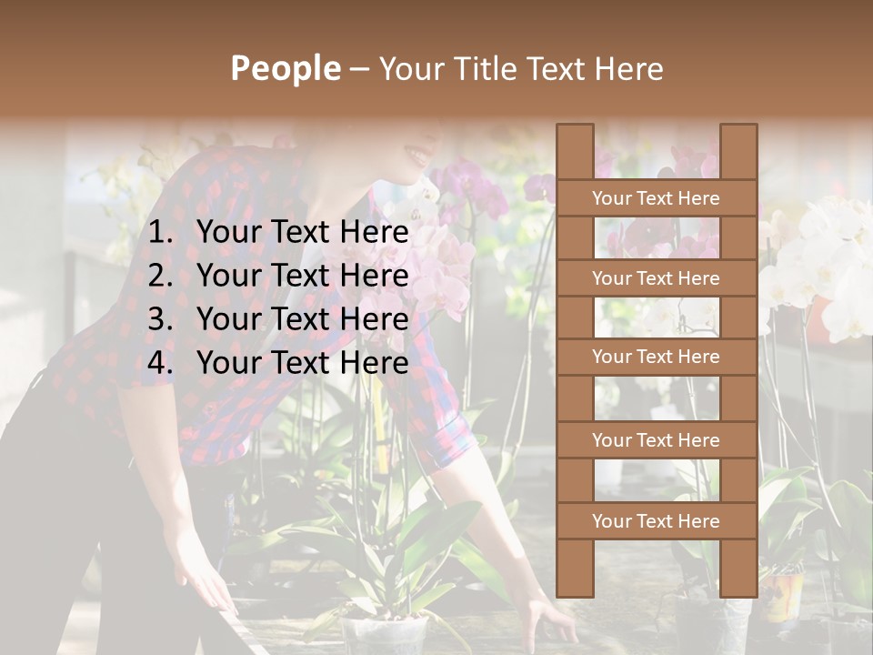 Houseplant Female Orchid PowerPoint Template
