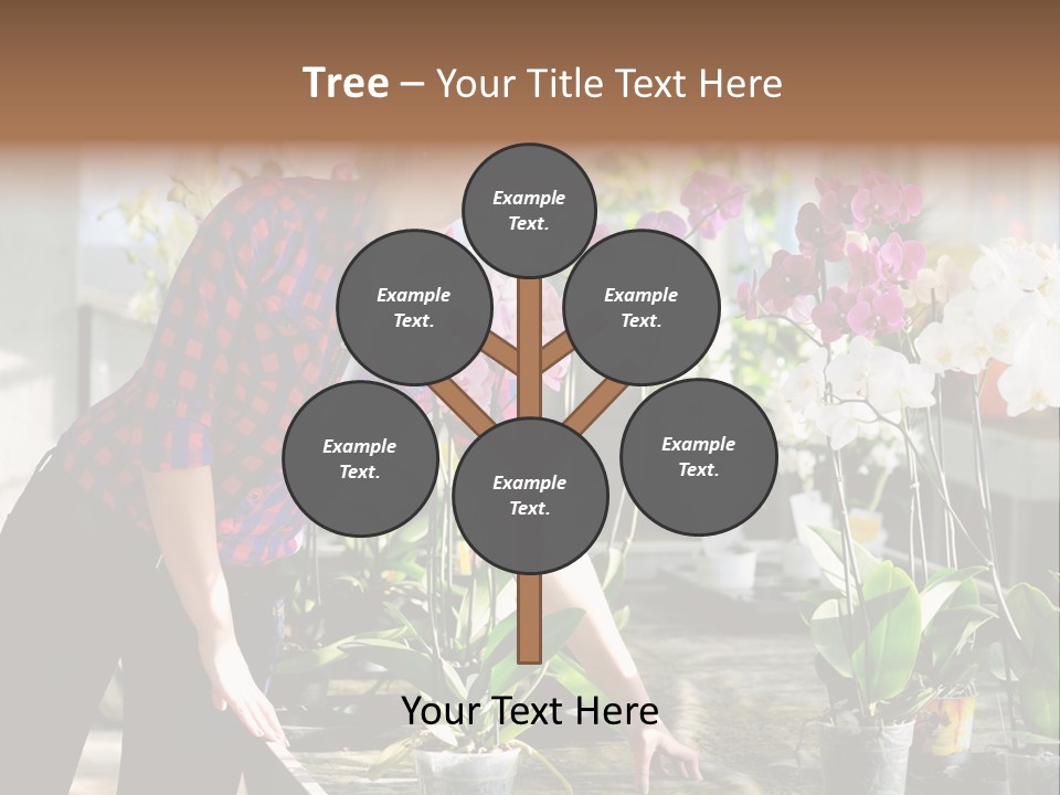 Houseplant Female Orchid PowerPoint Template