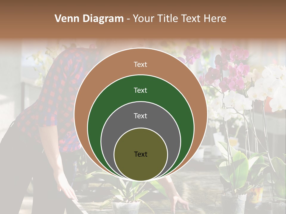 Houseplant Female Orchid PowerPoint Template