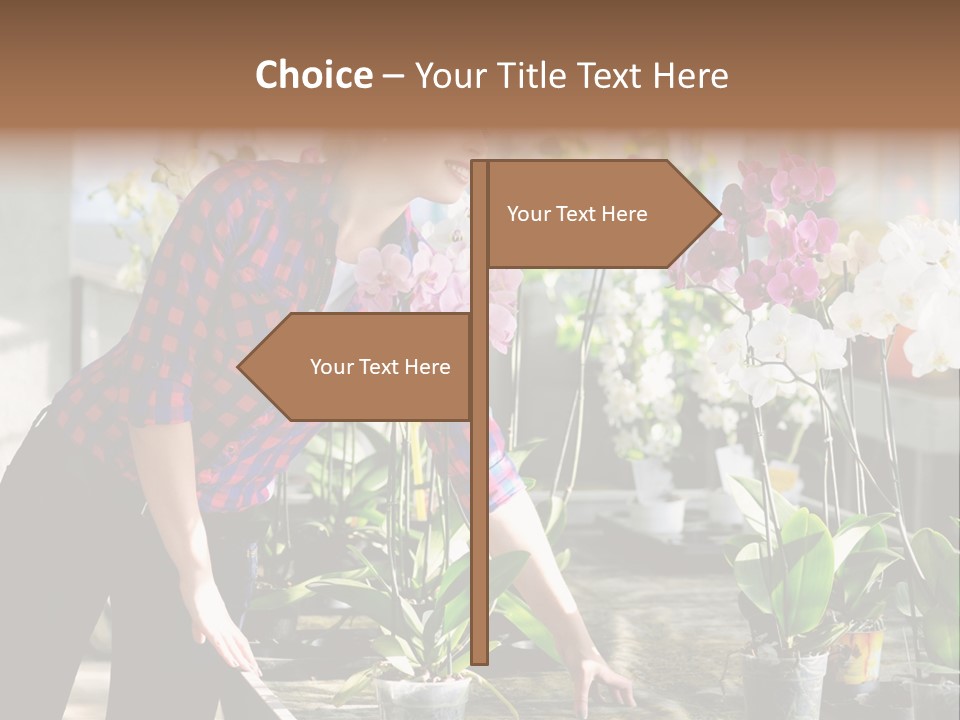 Houseplant Female Orchid PowerPoint Template