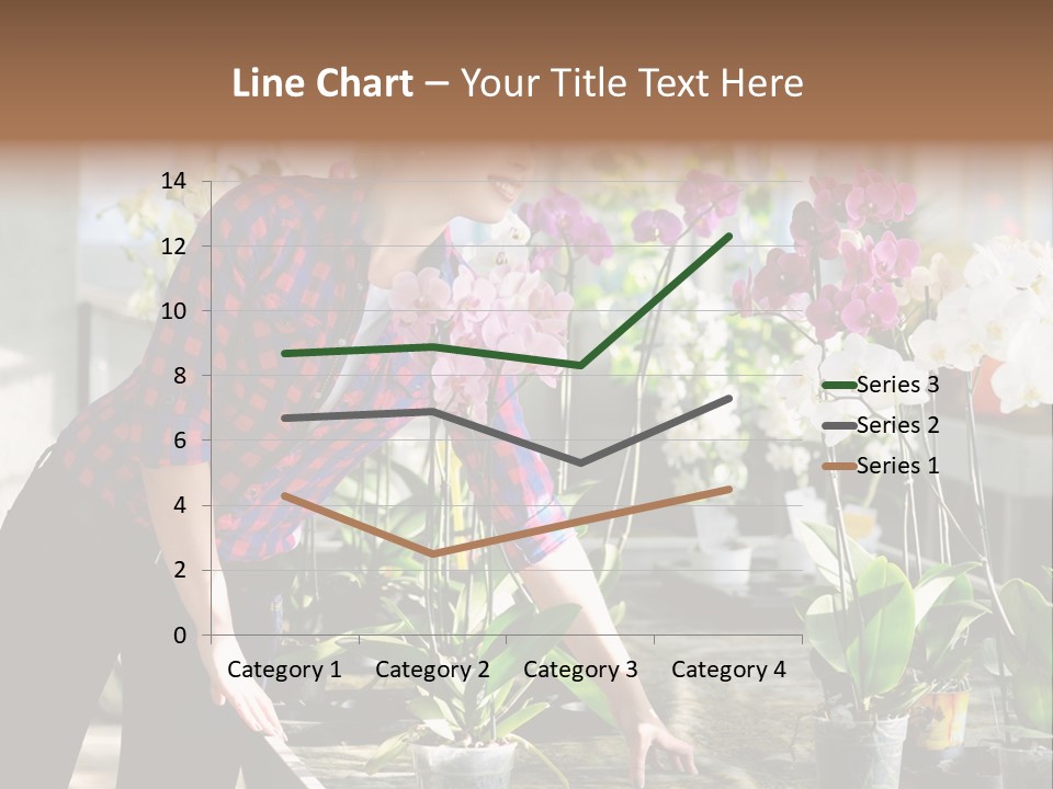 Houseplant Female Orchid PowerPoint Template