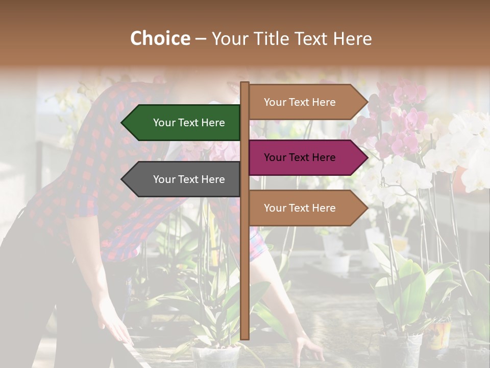 Houseplant Female Orchid PowerPoint Template