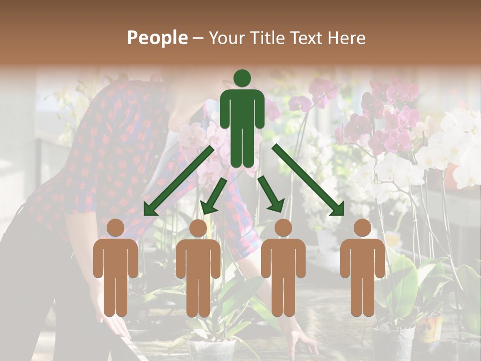 Houseplant Female Orchid PowerPoint Template